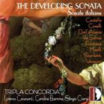 The developing sonata 